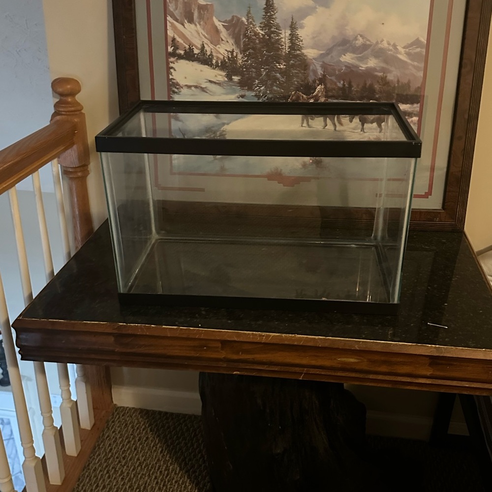 20 gallon height fish tank plus four decor pieces